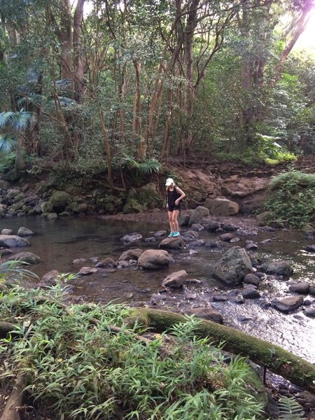 Stream crossing