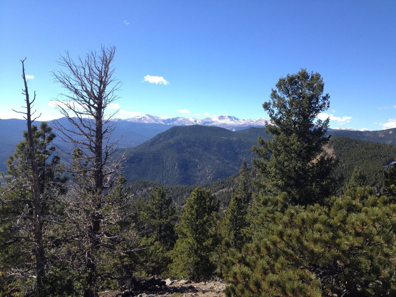 Top of Bergen Peak.