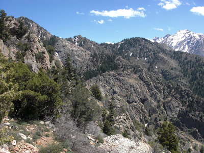 On route to Mt. Olympus