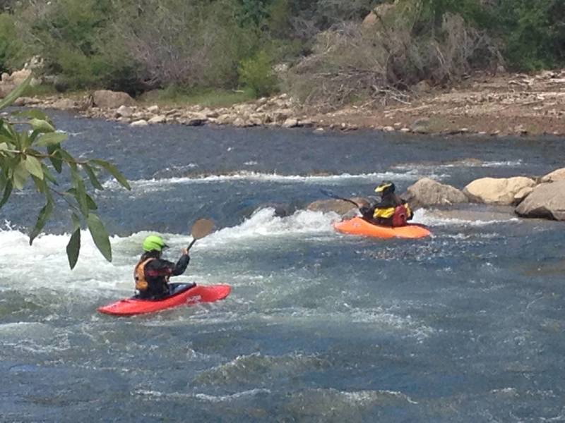 Spotting the local wildlife in the river.