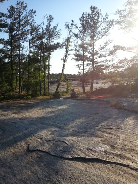 A view through the trees.