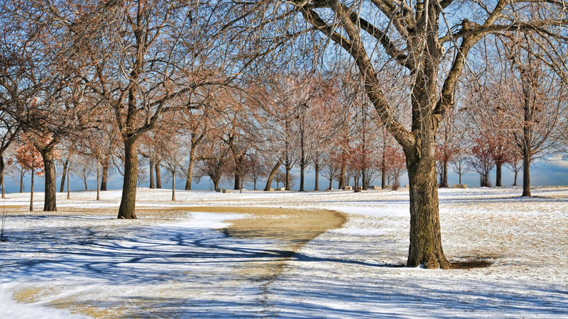 Uptown Chicago Park