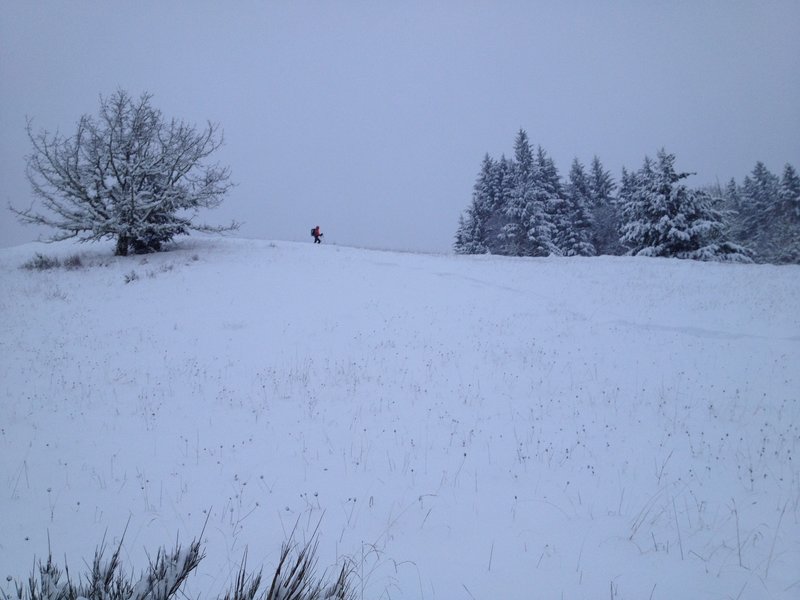 Skiing what is normally running trails at the top of Dimple Hill