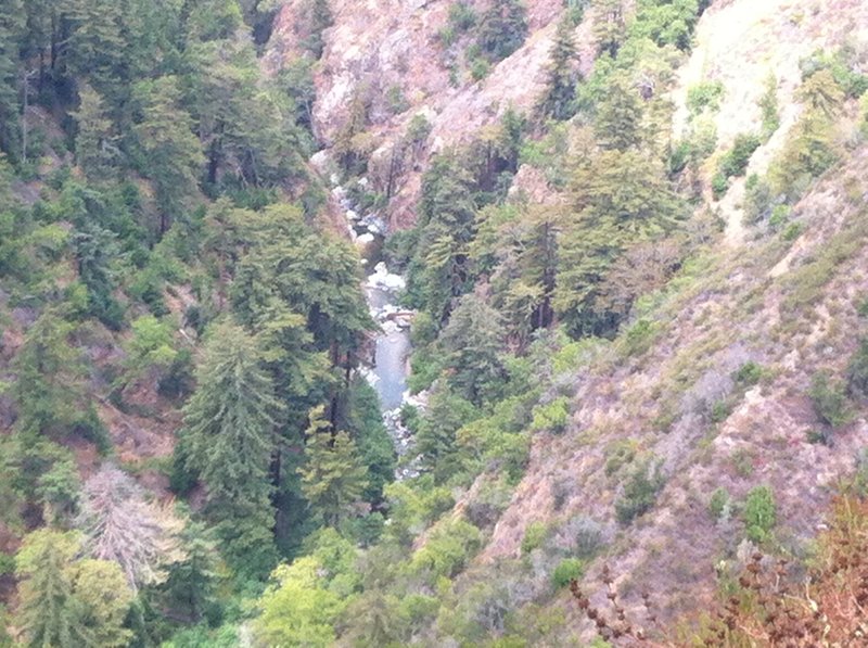 The Wild and Scenic Big Sur below Pine Ridge Trail