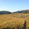 A picture of the trail as it winds through an open valley filled with grasses and sagebrush as the sun rises over it.