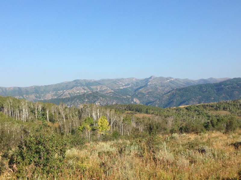 A view of the aspen grove near the high point of the route, as well as some inclined cliffs and peaks in the background.