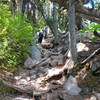 The steep pitch before the lake.