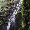 Maunawili Falls