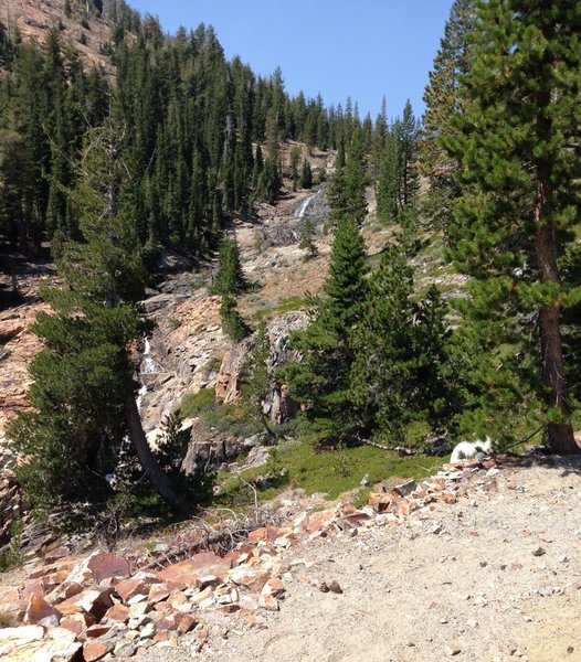 A waterfall section probably really fantastic at peak snow run off.