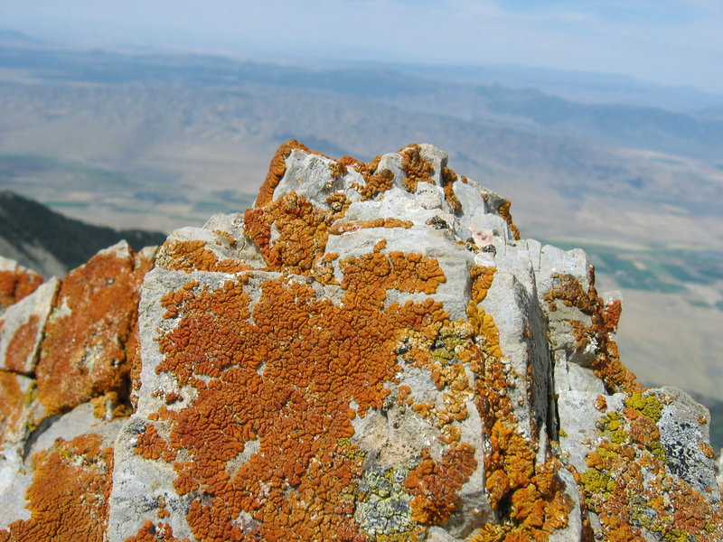 Summit of Nebo.