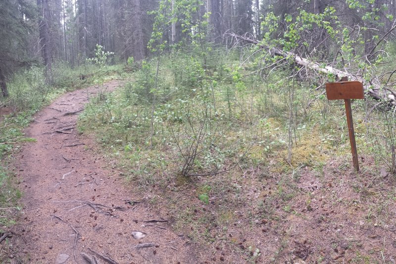 Sign indicating Let It Roll (aka LeBen) trailhead - this lets you know you are on the right track!