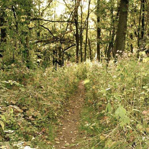 Hitting this segment of trail in the early autumn.