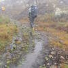 Crossing the paramo ecosystem, surrounded by the frailejons