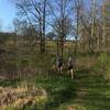 Trail runners enjoying a beautiful spring day on the Table Bluff segment of the Ice Age Trail.