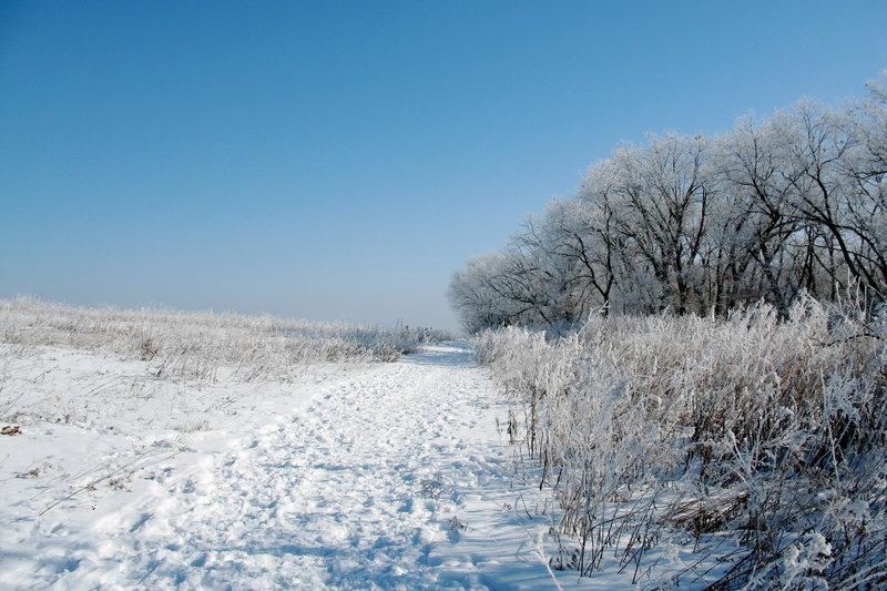 Looking east on one of the trails connecting to this segment of Ice Age Trail.