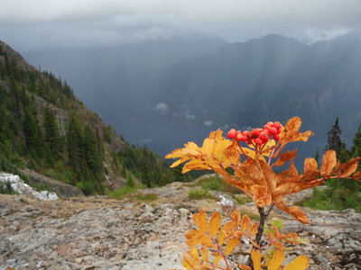 A view downward from near the crest of the trail.