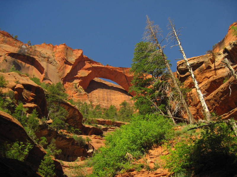 Kolob Arch