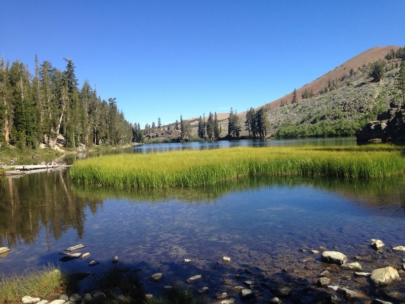 The creek feeding into Arrowhead Lake