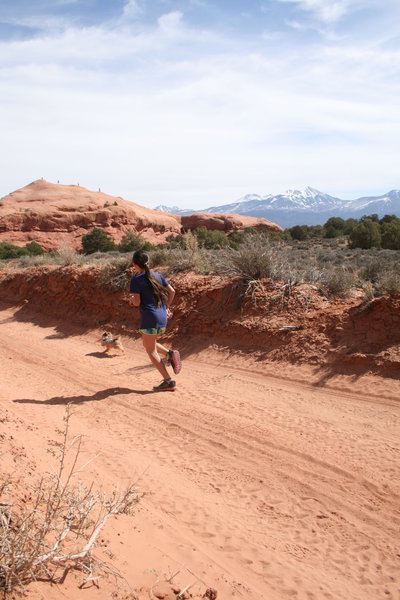 Behind the Rocks Ultra, views of the La Sals