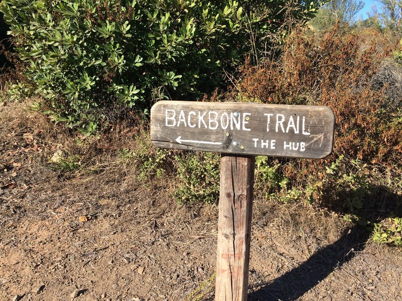 The Hub at Backbone Trail
