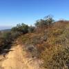 View of the Pacific Ocean