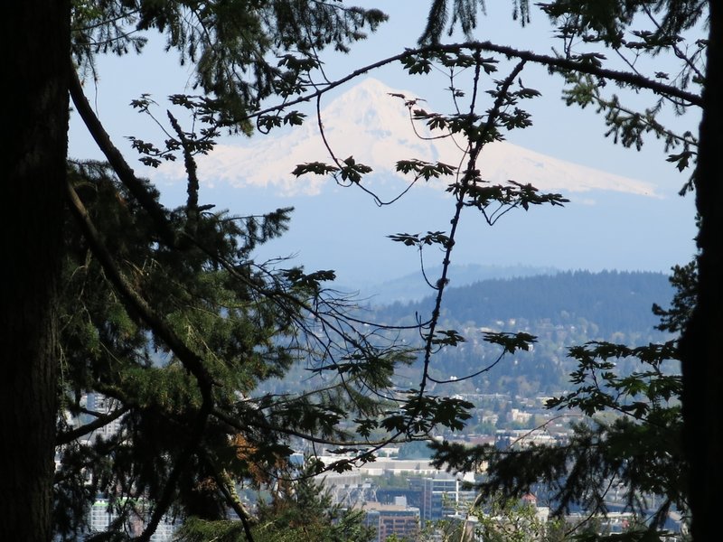 View of Mt Hood