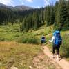 Heading up Guller Creek