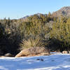 Cibola National Forest trail intersection.