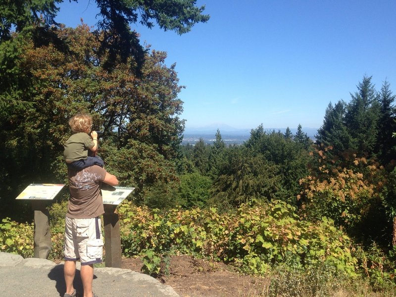 Taking in the view of St. Helens and Rainier from just off the Wildwood Trail in Washington Park. Bill Cunningham Photo