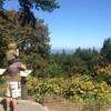 Taking in the view of St. Helens and Rainier from just off the Wildwood Trail in Washington Park. Bill Cunningham Photo