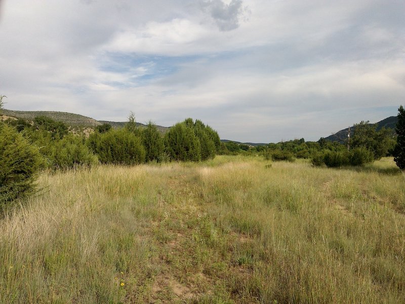 Lincoln Trail facing east