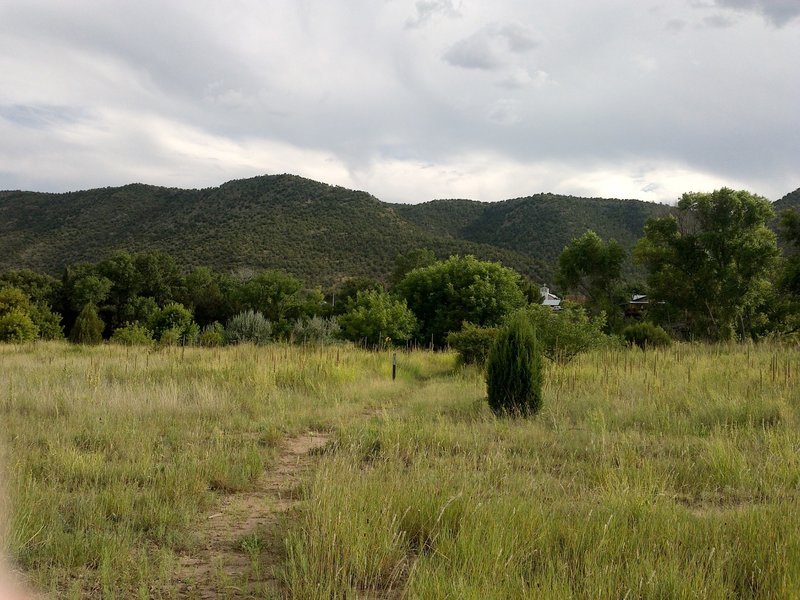 Lincoln Trail facing south.