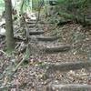 Steps leading up the Dockery Lake Trail