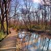 The boardwalk of Cook's Trail as it follows Sandy Creek