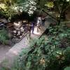 A group of hikers stop on a bridge over Balch Creek to take pictures. Bill Cunningham Photo