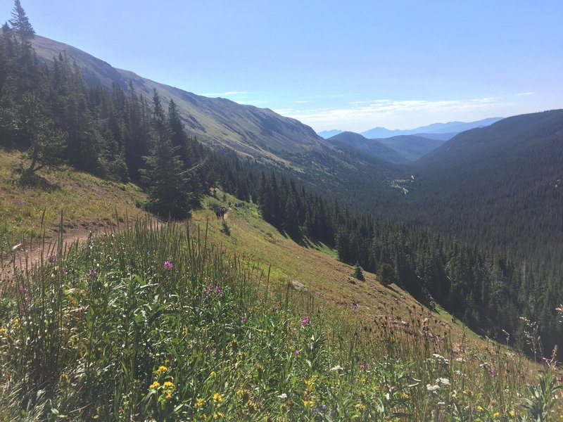 Looking back down Arapaho Pass Trail.