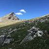 Looking back up to South Arapaho Peak from the wildflower-filled meadow.