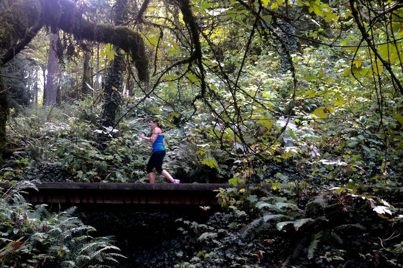 A woman takes some time at lunch to run the Dogwood Trail. Photo by Bill Cunningham