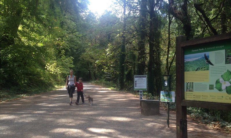 A mother and son hike on the Erikson Trail with their dog. Bill Cunningham Photo