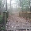 The Trail Bridge on an early fall morning!