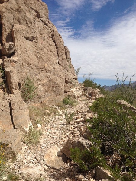 A cliffside section of La Espina Ledge.