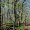 Bridge in Elachee Nature Center