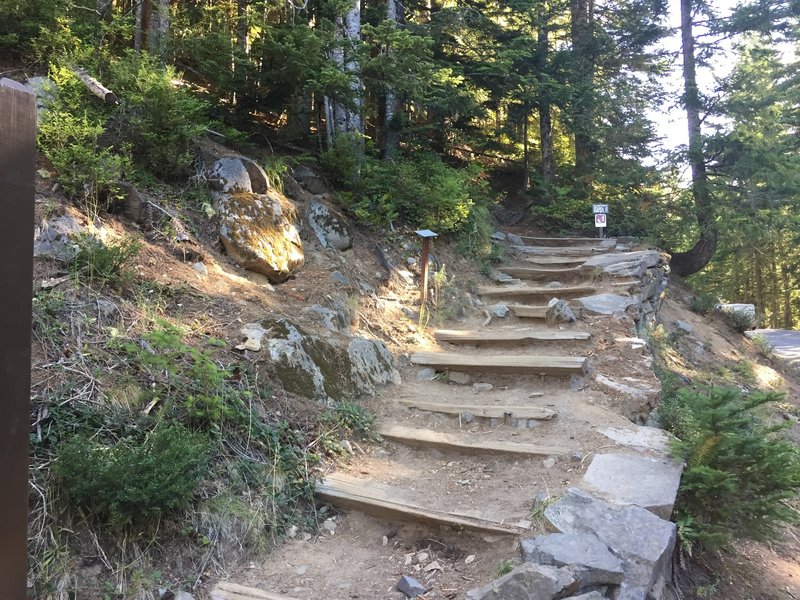 Start of the Comet Falls trail from the parking lot