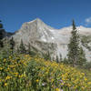 Late summer flowers in full effect on Trail Rider Pass above Snowmass Lake. Photo: Michelle Smith