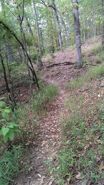 Downhill towards the coastline