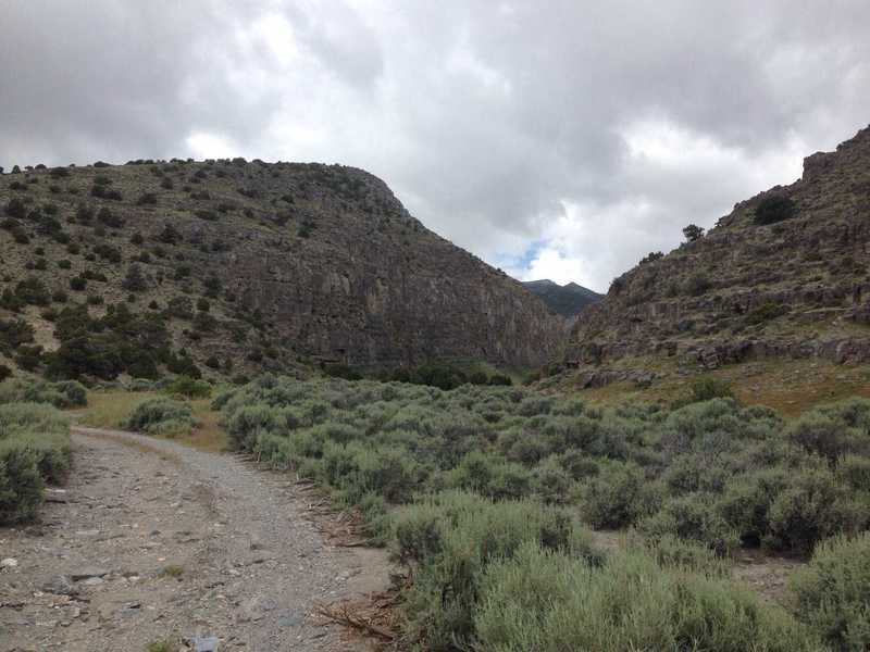 A view of the mouth of Sawtooth Canyon