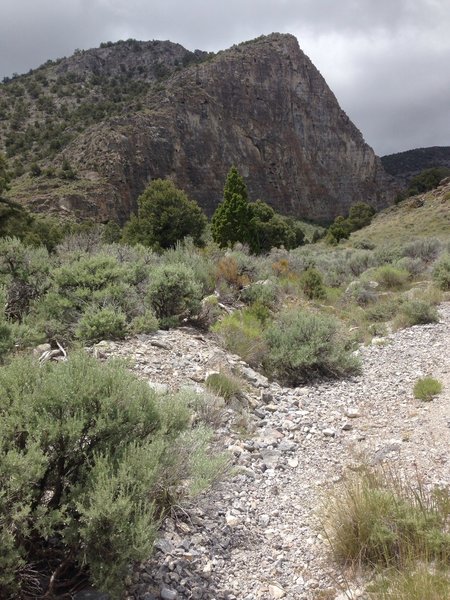 A view of the trail and one of the amazing cliffs that make up Sawtooth Canyon