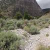 A view of the trail and one of the amazing cliffs that make up Sawtooth Canyon