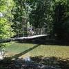 Bridge, Grove of the Patriarchs Trail