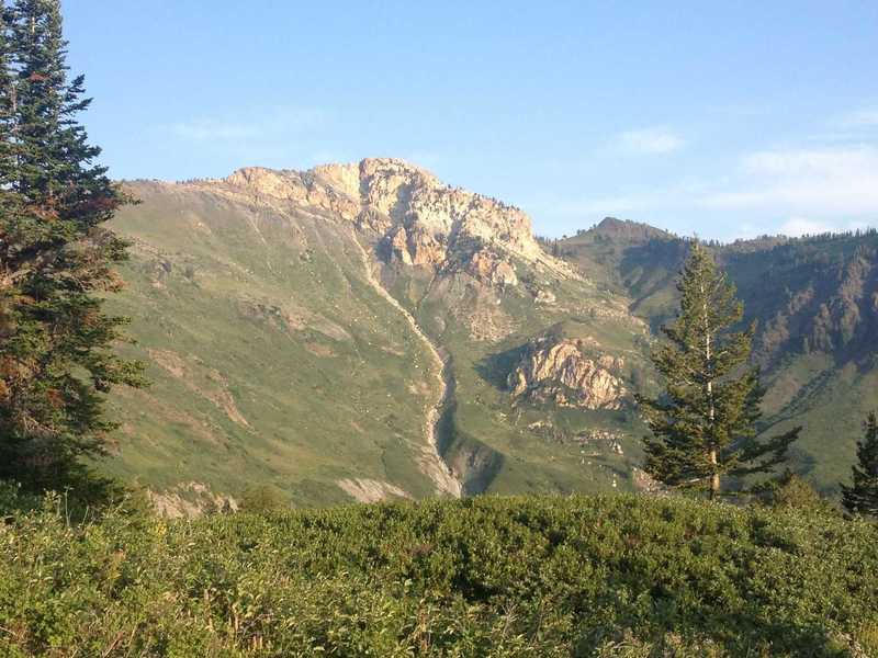 A view of Willard Peak and the avalanche chute below it